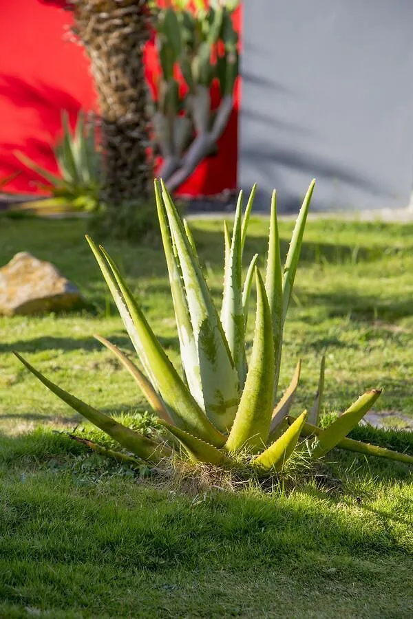 Fleurs De Canne Piscines Privees Le Moule 0*,  Gwadelupa